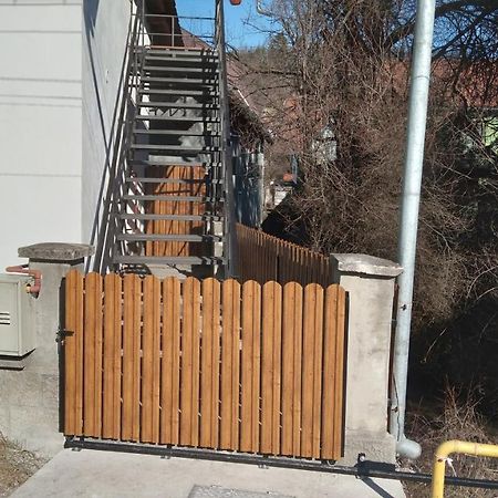 Raza Soarelui Apartament De Lux ソバタ エクステリア 写真